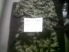 IMG00676-20120122-1815.jpg