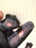 Proto glove holes.jpg