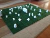 minifield.jpg
