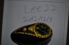 DSC_0529.JPG