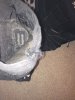 pants2.jpg