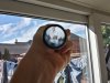 IMG_20130908_105140.jpg