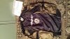 20131117_152601.jpg