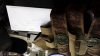 20131212_095846.jpg