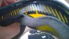 WP_20140504_007.jpg