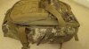 DSC00530.JPG