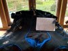 IMG_20150501_171257.jpg
