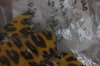 DSCF8486.JPG