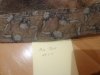 DSC00876.JPG