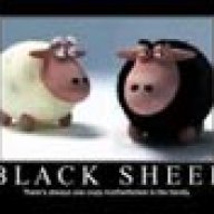 Blacksheep