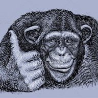 BigChimp97