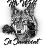 Mr_Wolf_Is_Innocent