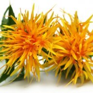 SafflowerOil