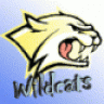 Wildcats