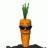 garycarrot