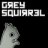 grey.squirrel