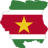 suriname-visa-online