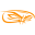 vforce.com